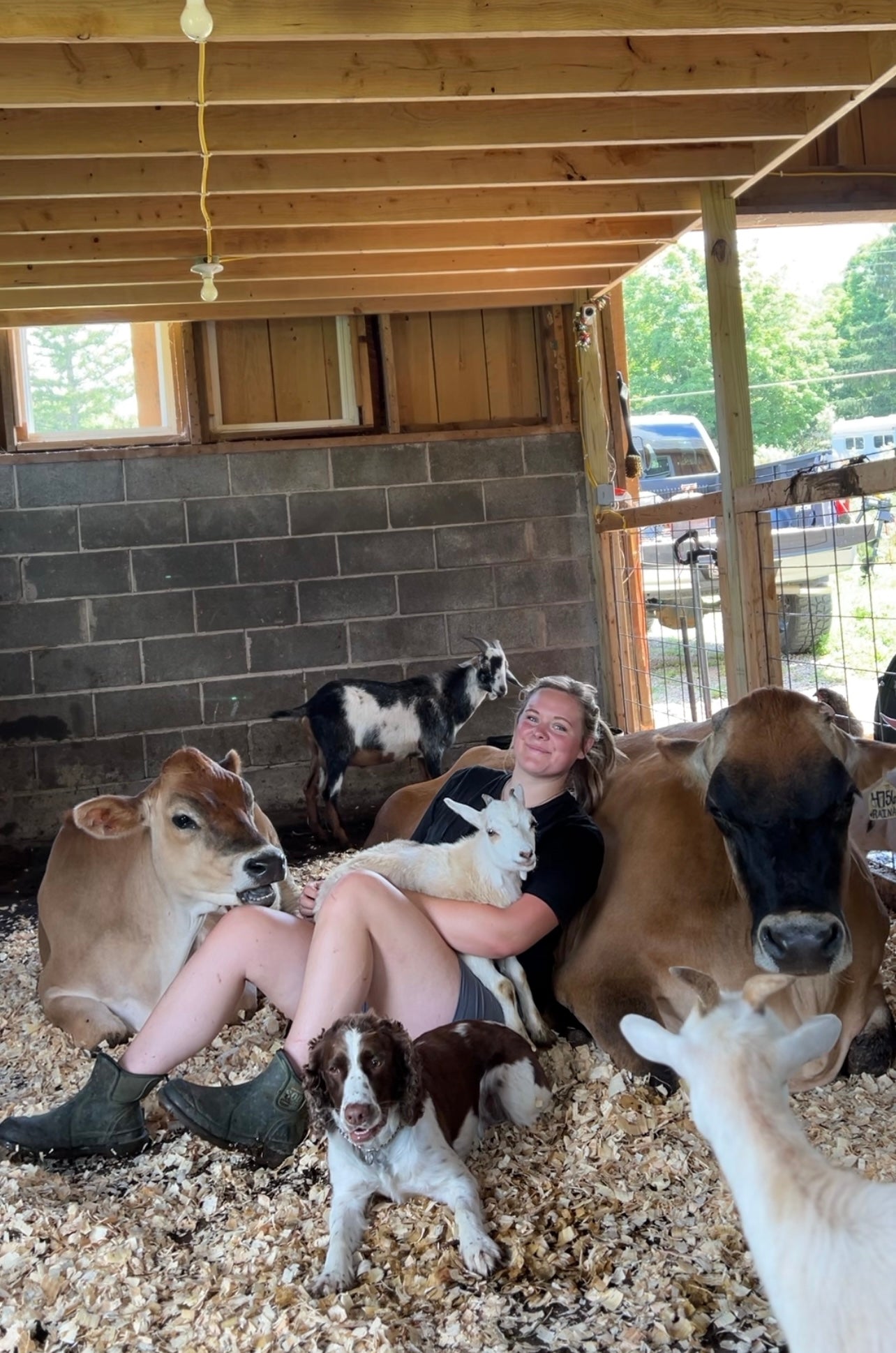 Donate to our Farm ❤️