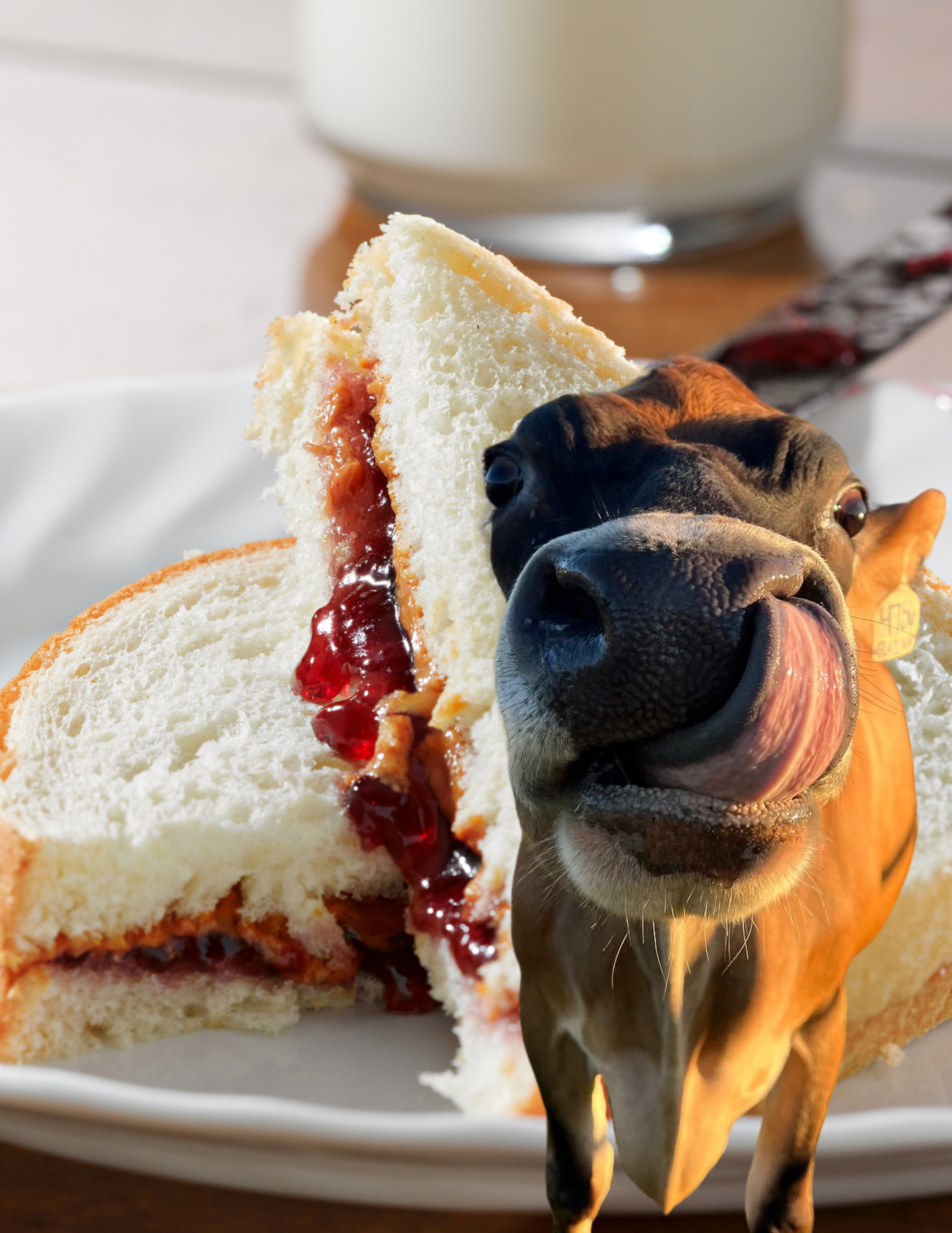 1 Peanut Butter & Jelly Sandwhich for Raina