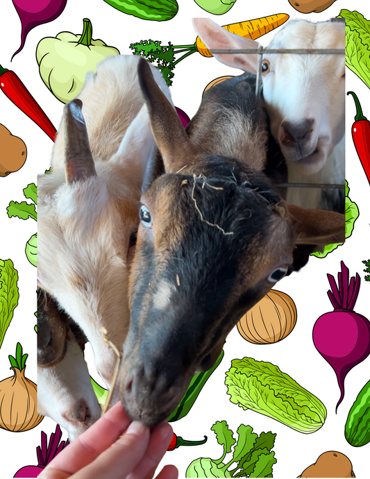 Vegetables for Goats